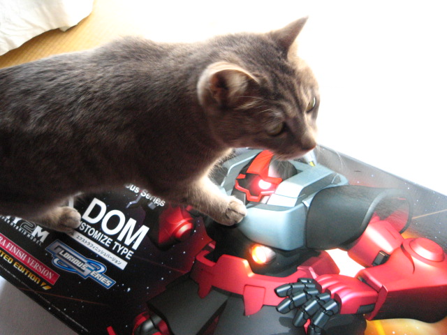 HY2M グロリアスシリーズ MS-09RS シャア専用リックドム エクストラフィニッシュVer.