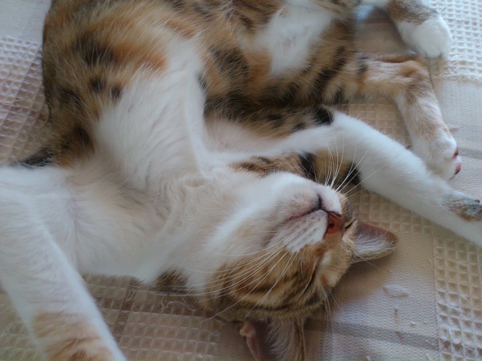 はな September 16, 2012