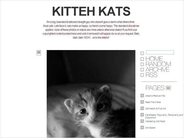 Kitteh Kats